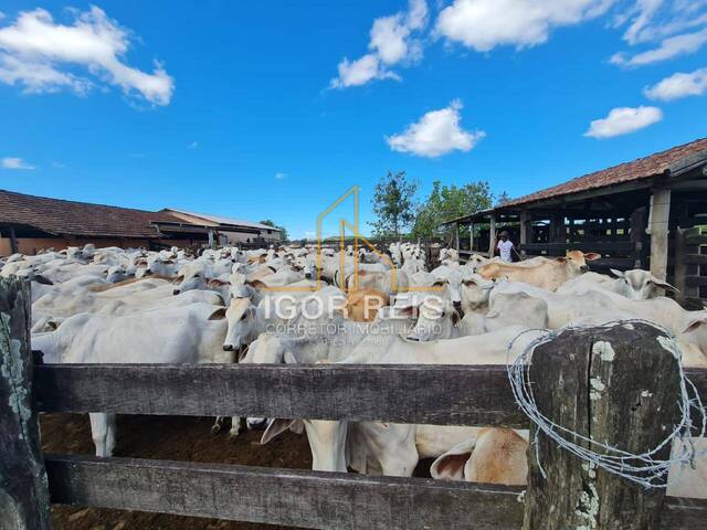 #522 - Fazenda para Venda em Araruama - RJ - 1